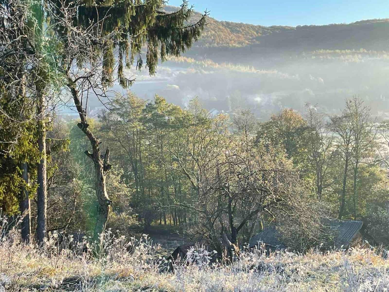 Приватна Садиба Дикий Мед Ploskoye Exteriér fotografie